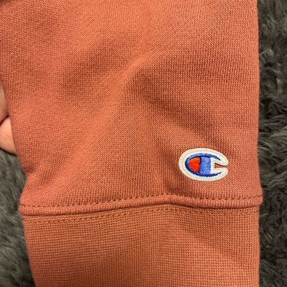 NWT - Cute Champion Sweatshirt w/hood and Kangaroo Pocket - Picture 11 of 13